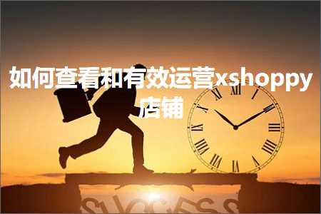 跨境电商知识:如何查看和有效运营xshoppy店铺